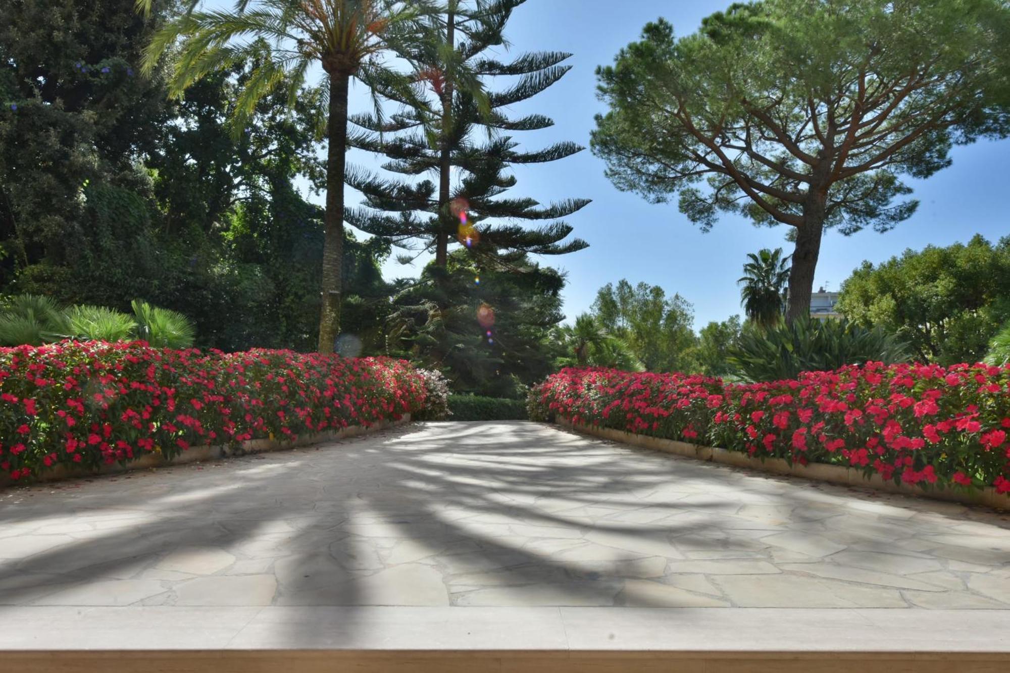 Close To Downtown Cannes Swimming Pool And Sea View מראה חיצוני תמונה
